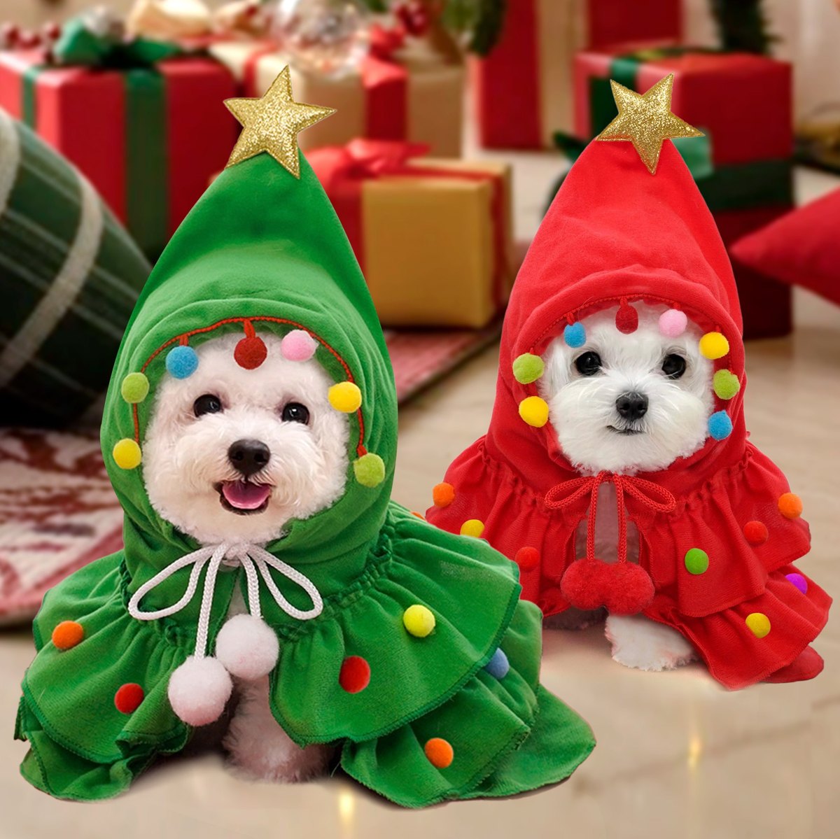 Deux chiens en capes verte et rouge