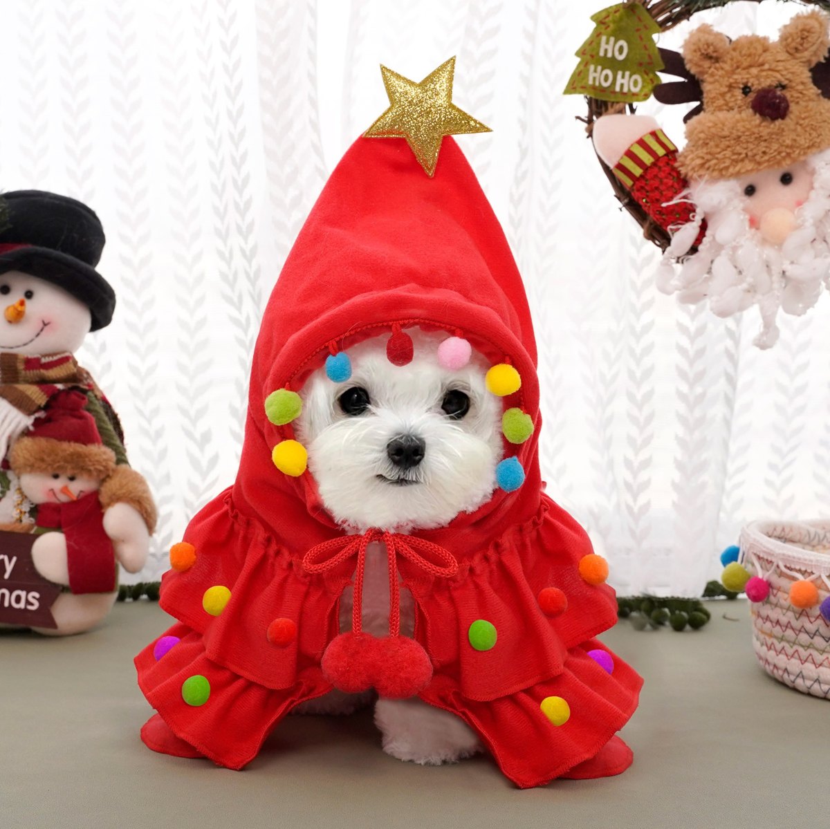 Chien en cape sapin rouge